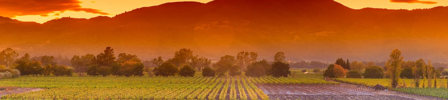 Discover: Napa